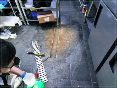 고양