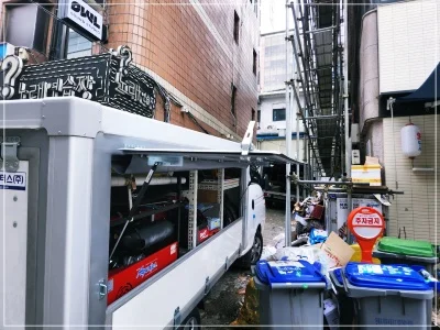 고양