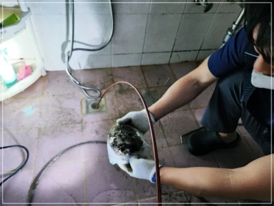 광주 누수탐지 상가 누수 신속 진단과 공사 사례