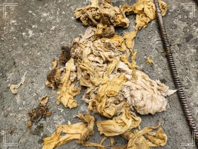 성남 중원구 도촌동 아파트 변기역류 고객만족 후기