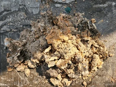 성남 분당구 판교동 오피스텔 하수구역류 해결 고객만족